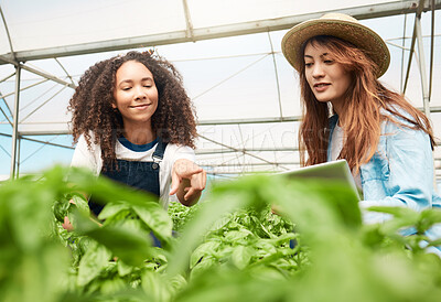 Buy stock photo Shot of two young women tending to crops while working on a farm