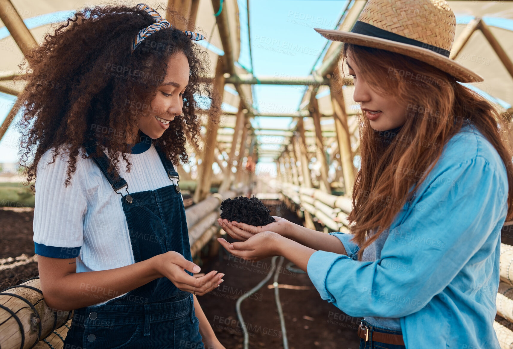 Buy stock photo People, team and soil for farm development, agriculture production and inspection for growth requirements. Collaboration, farmers and monitor fertilizer in greenhouse, quality control and discussion