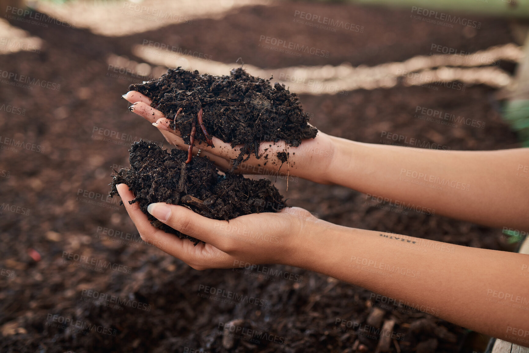 Buy stock photo Farm, nature and hands of person with soil for growth, sustainability and planting crops. Agriculture, harvest and farmer with dirt, earth and fertilizer for agro environment, ecosystem and ecology