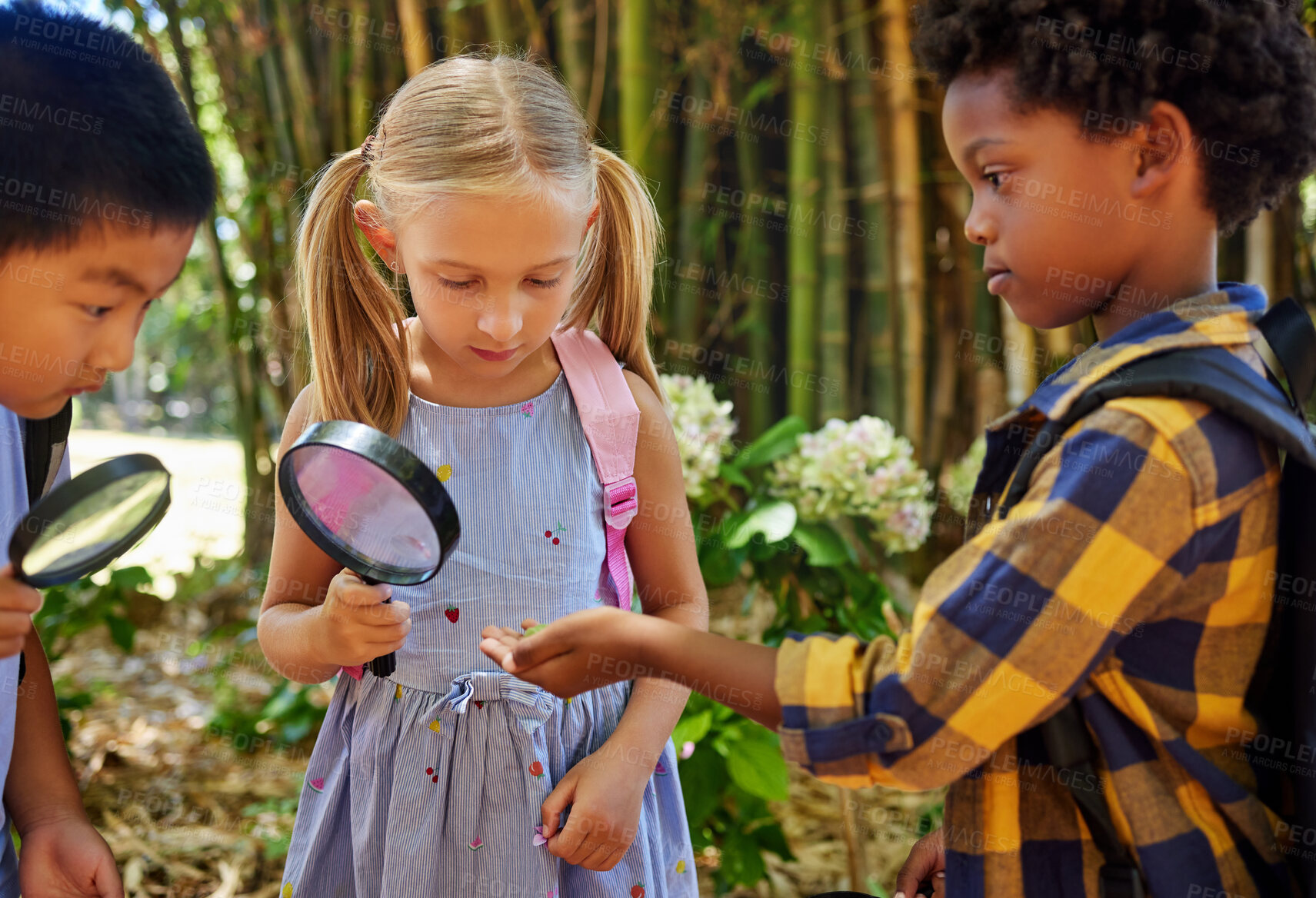 Buy stock photo Friends, nature or children at summer camp, magnifying glass or growth outdoor, speaking or ideas. Knowledge, young kids with plants, outside or discover with fun, natural or adventure for bonding