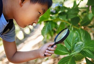 Buy stock photo Magnifying glass, nature and an asian boy studying plants outdoor for education during a field trip. Kids, school and outing with a male student learning about organic sustainability in a garden