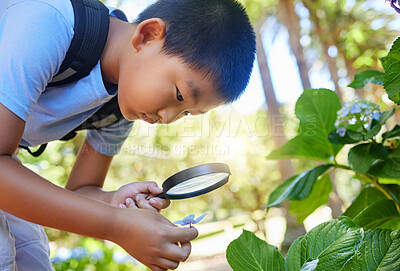 Buy stock photo Magnifying glass, garden and an asian boy studying plants outdoor for education during a field trip. Kids, school and outing with a male student learning about organic sustainability in nature