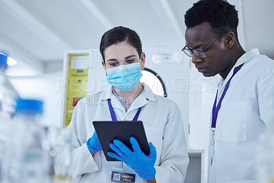Buy stock photo Science, staff and man with woman, tablet and connection in a laboratory, virus research or medical. Coworkers, researchers or female employee with male scientist, digital planning and data analytics