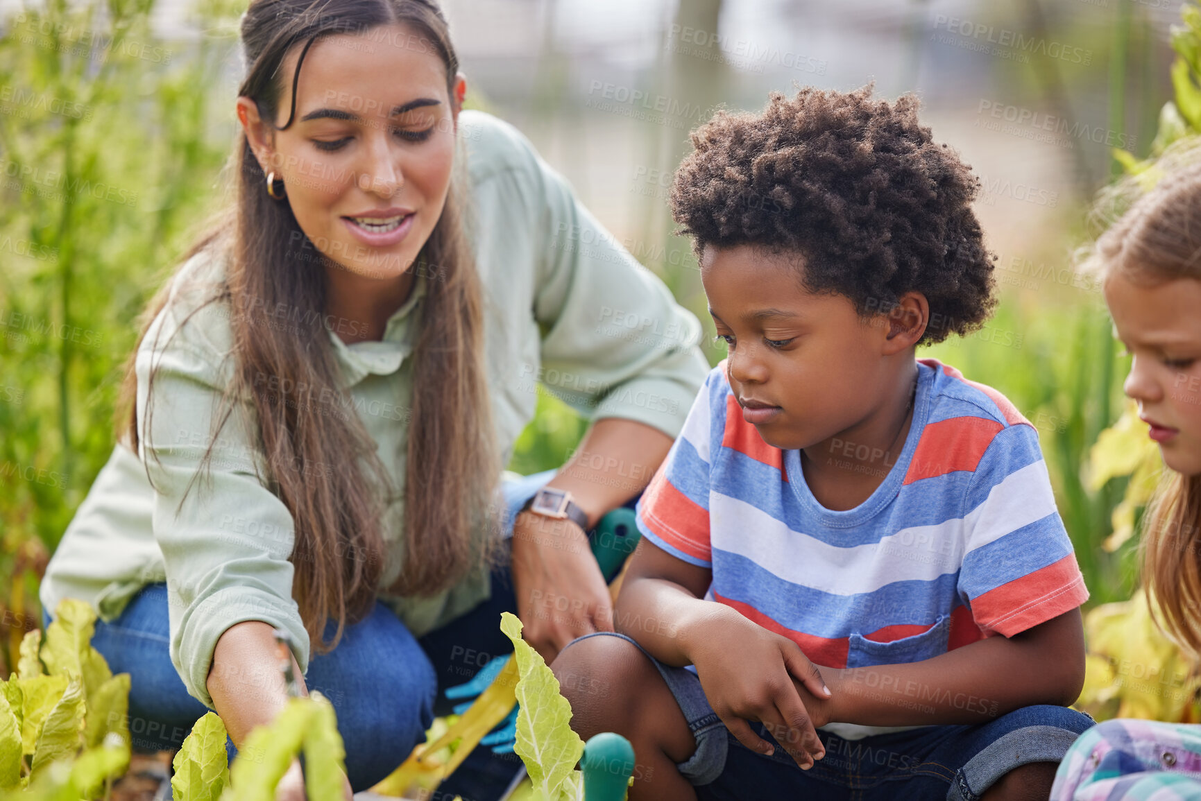 Buy stock photo Cropped shot of an attractive young woman and two adorable little kids working on a farm