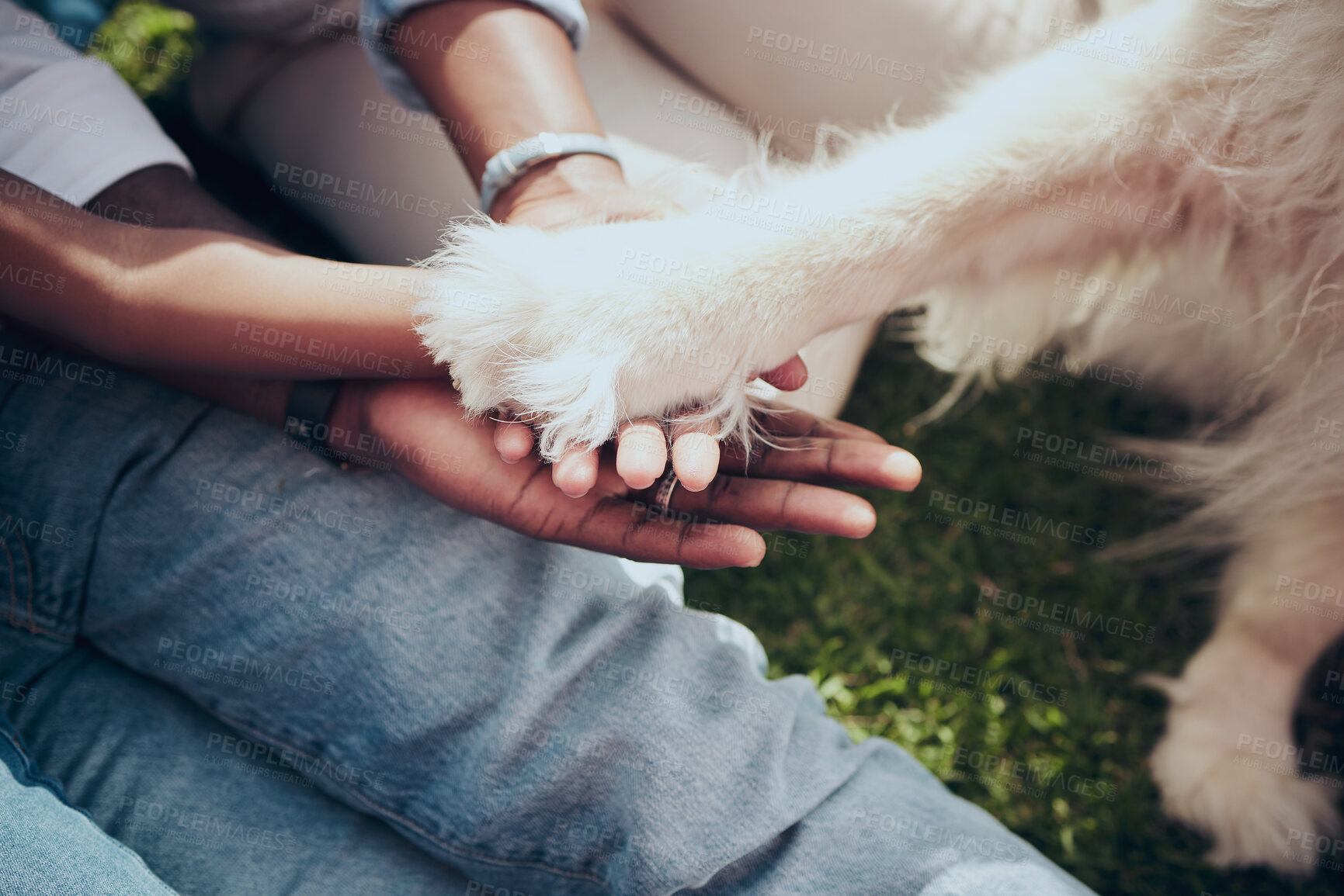 Buy stock photo Support, people and dog with hands together outdoor for protection, security and bonding with companion. Closeup, couple and stack with pet animal for comfort, insurance or trust with loyalty at park