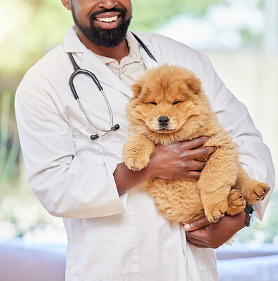 Buy stock photo Black man, pet vet and puppy at a clinic, medical and animal support with a smile. Happy, African male person and veterinarian staff employee with a cute dog and professional with care at job