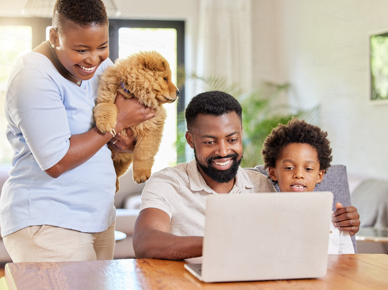 Buy stock photo Happy, black family and laptop to relax with dogs at house in kitchen browsing internet for online shopping pet care. Parents, child and animal for streaming website funny puppy video on vacation