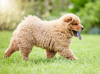 He\'s always excited to explore outdoors