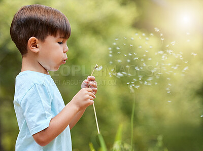 Buy stock photo Nature, meadow and child blowing dandelion for wish, hope and growth in field with flowers. Spring, childhood and profile of young boy with wildflower in park for adventure, freedom and happiness