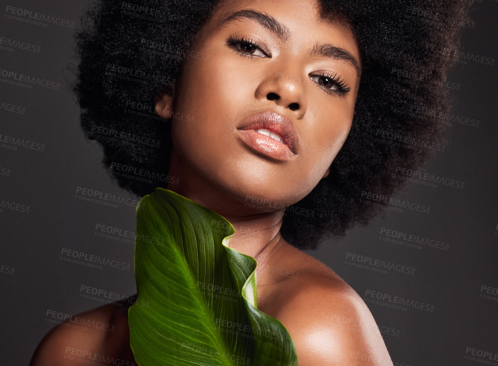 Buy stock photo Black woman, face and leaf, natural beauty and eco friendly cosmetics with portrait on studio background. Facial, afro and African female model, skincare and glow with sustainable dermatology
