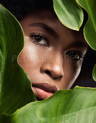 Buy stock photo Closeup, face of black woman and leaves for natural skincare, nature and eco friendly beauty on studio background. Facial, green and African female model in portrait, skin and sustainable dermatology