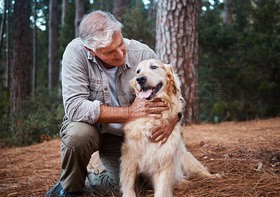 Buy stock photo Senior man, hiking with dog in forest and adventure, fitness with travel and pet with love and care. Nature, trekking and vitality with mature male in retirement and golden retriever puppy outdoor