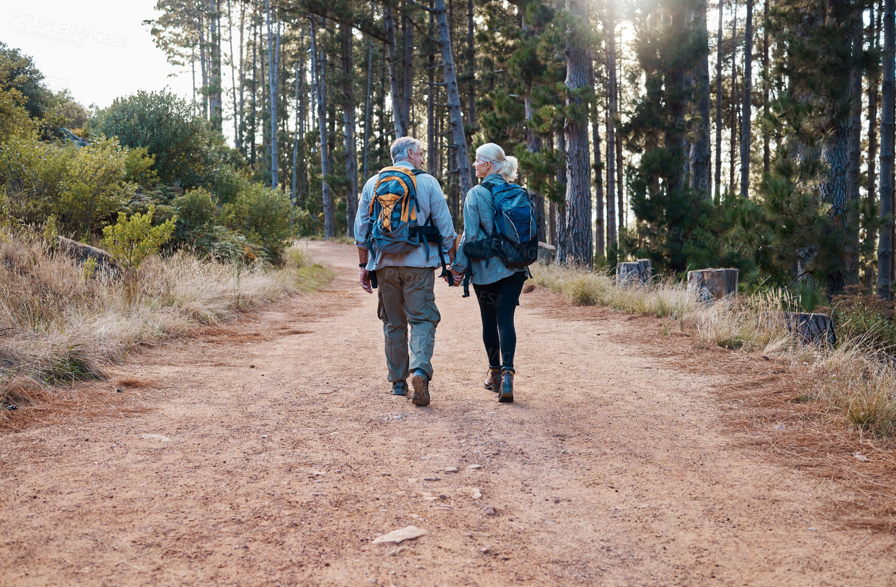 Buy stock photo Forest, retirement and hiking, old couple holding hands on nature walk on mountain path in Canada. Travel, senior man and mature woman on hike for exercise with love and health on holiday adventure.