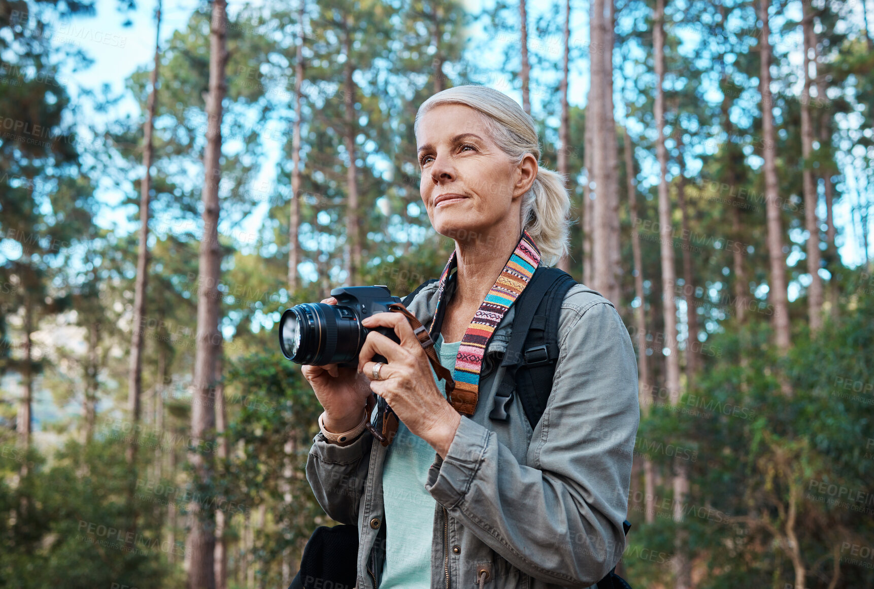 Buy stock photo Camera, photographer and elderly woman taking pictures while hiking in a forest, calm and content. Nature, photography and senior lady enjoying retirement, relax and hobby while on vacation outdoors