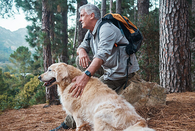 Buy stock photo Senior man, hiking and dog outdoor in nature for exercise, fitness and trekking for health and wellness. Old male thinking with animal pet on hike in forest for workout and cardio with backpack