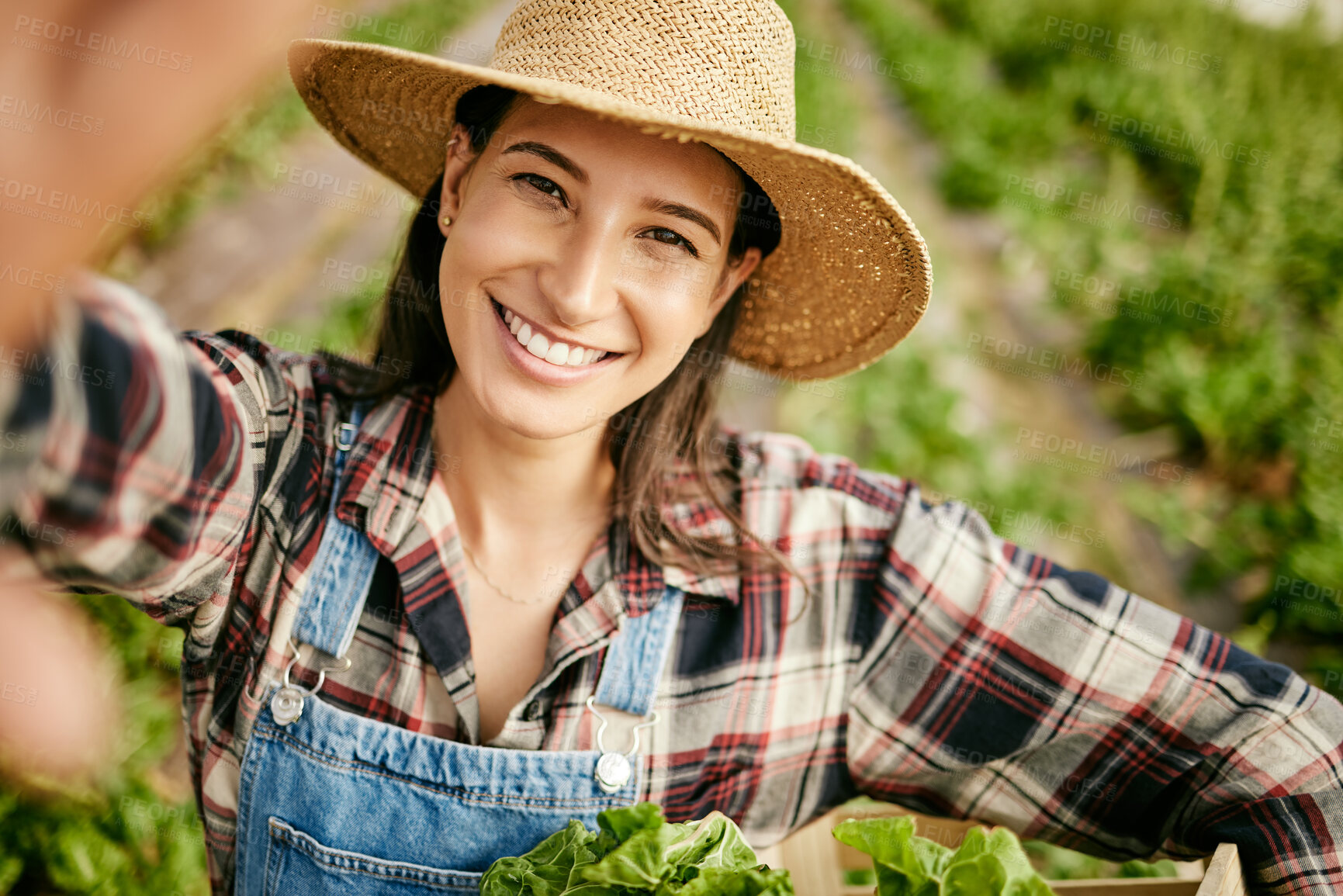 Buy stock photo Farm, selfie and woman in greenhouse with box of plants, smile and sustainable business growth. Photography, agriculture and happy girl farmer in countryside with basket of vegetables for online post