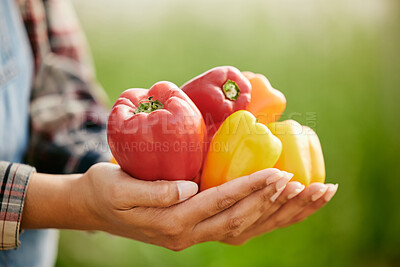 Buy stock photo Shot of an unrecognizable farmer holding a bunch of freshly harvested peppers