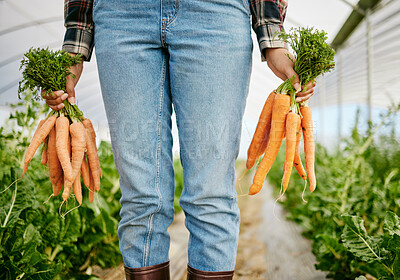 Buy stock photo Shot of an unrecognizable farmer holding a bunch of freshly harvested carrots