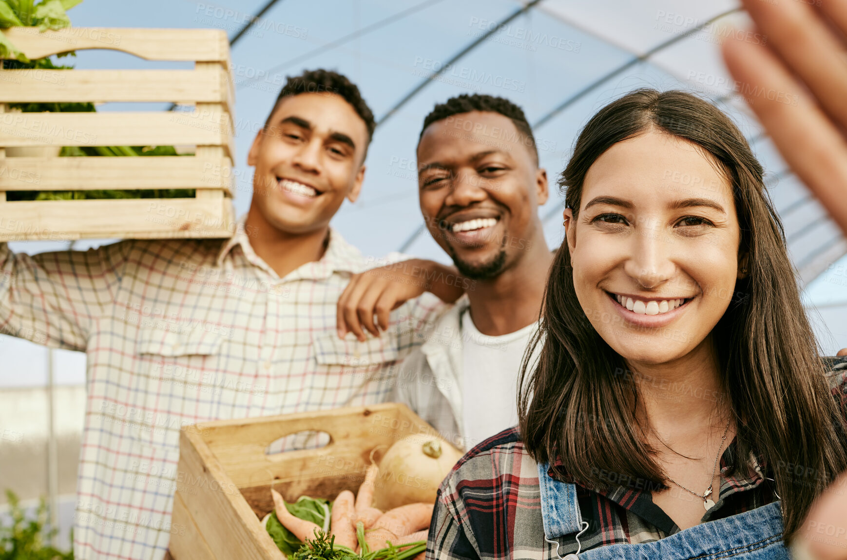 Buy stock photo Greenhouse, farmers and people in portrait for selfie, memory and vegetables for harvesting with smile. Teamwork, men and woman with food for small business, nutrition and farming with organic basket