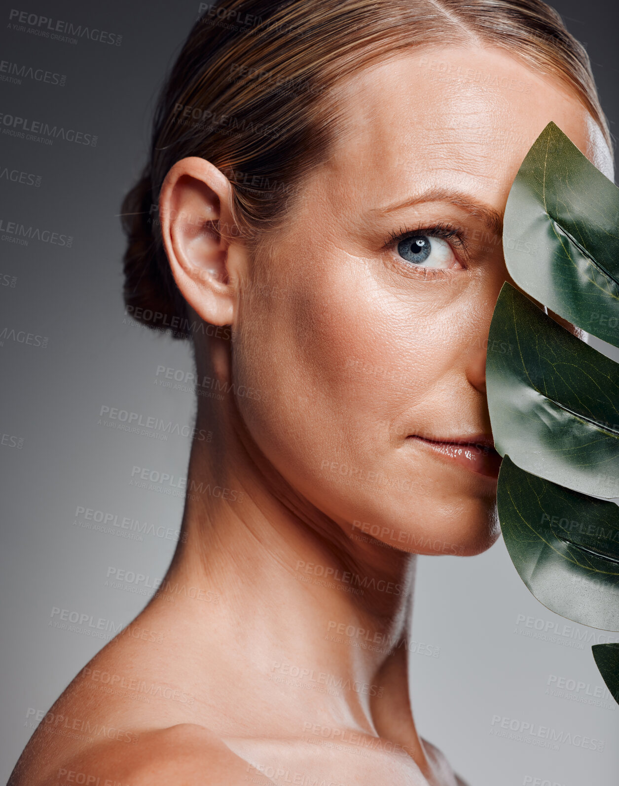 Buy stock photo Portrait, skincare and woman with monstera leaf for beauty, results or organic treatment. Face, cosmetics and mature model with plant for natural glow, detox or anti aging on gray studio background