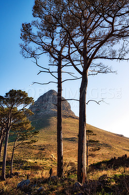 Buy stock photo A photo of Lions Head and surroundings. Cape Town, Western Cape, South Africa.