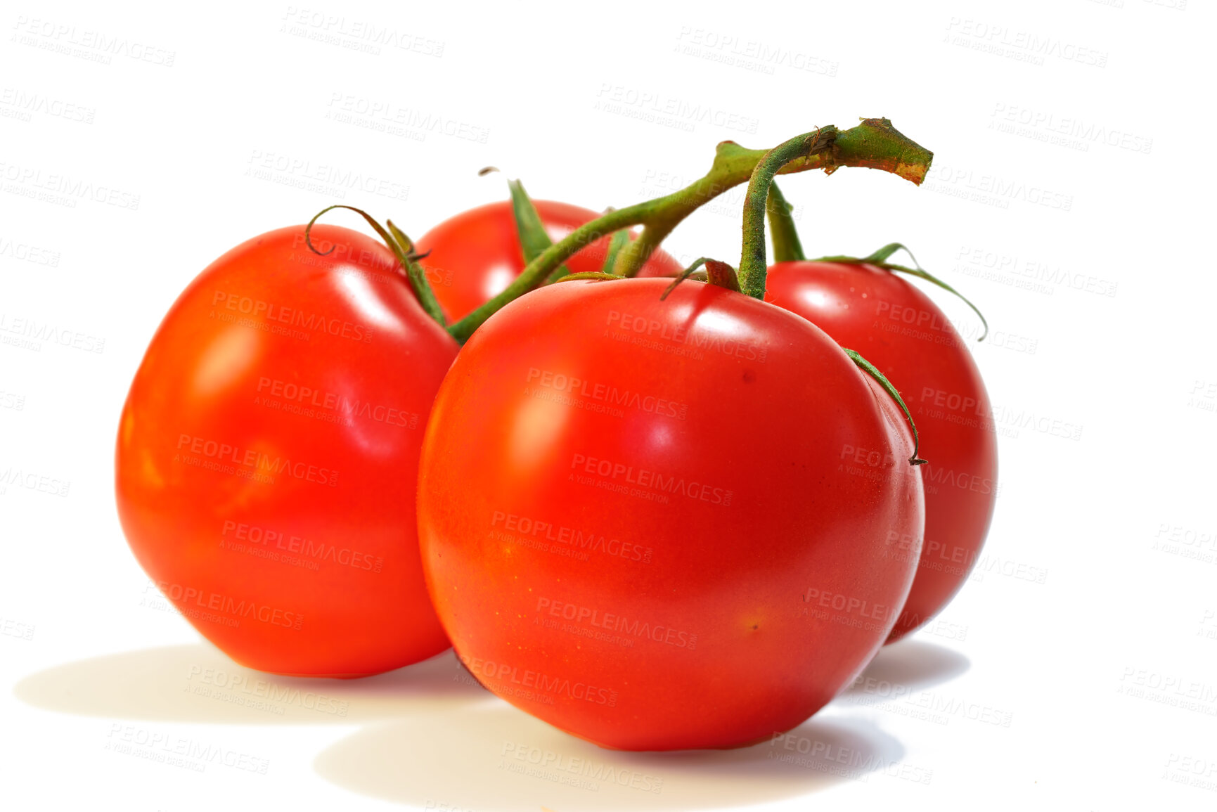 Buy stock photo Bunch of ripe and freshly picked bright red tomatoes on the stem, isolated in studio on a white background. Nutritional and healthy produce direct from the farm, ideal for any vegan or vegetarian diet