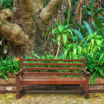 Buy stock photo A wooden bench on a pathway in a public park. A quiet place to enjoy nature and the peace it has to offer. Find tranquility amongst the green trees and other natural fauna. Mother nature is beautiful