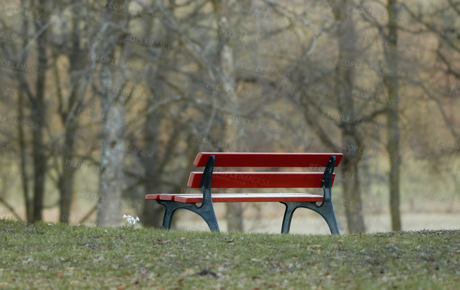 Buy stock photo Still life concept of a bench with a wooden backrest standing outside in a park on a cold winter's day. A red bench in a park in a forest isolated in a natural forest background