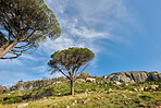 Photo of LionÂ´s Head, Cape Town