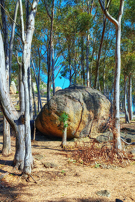 Buy stock photo A photo of Lions Head and surroundings