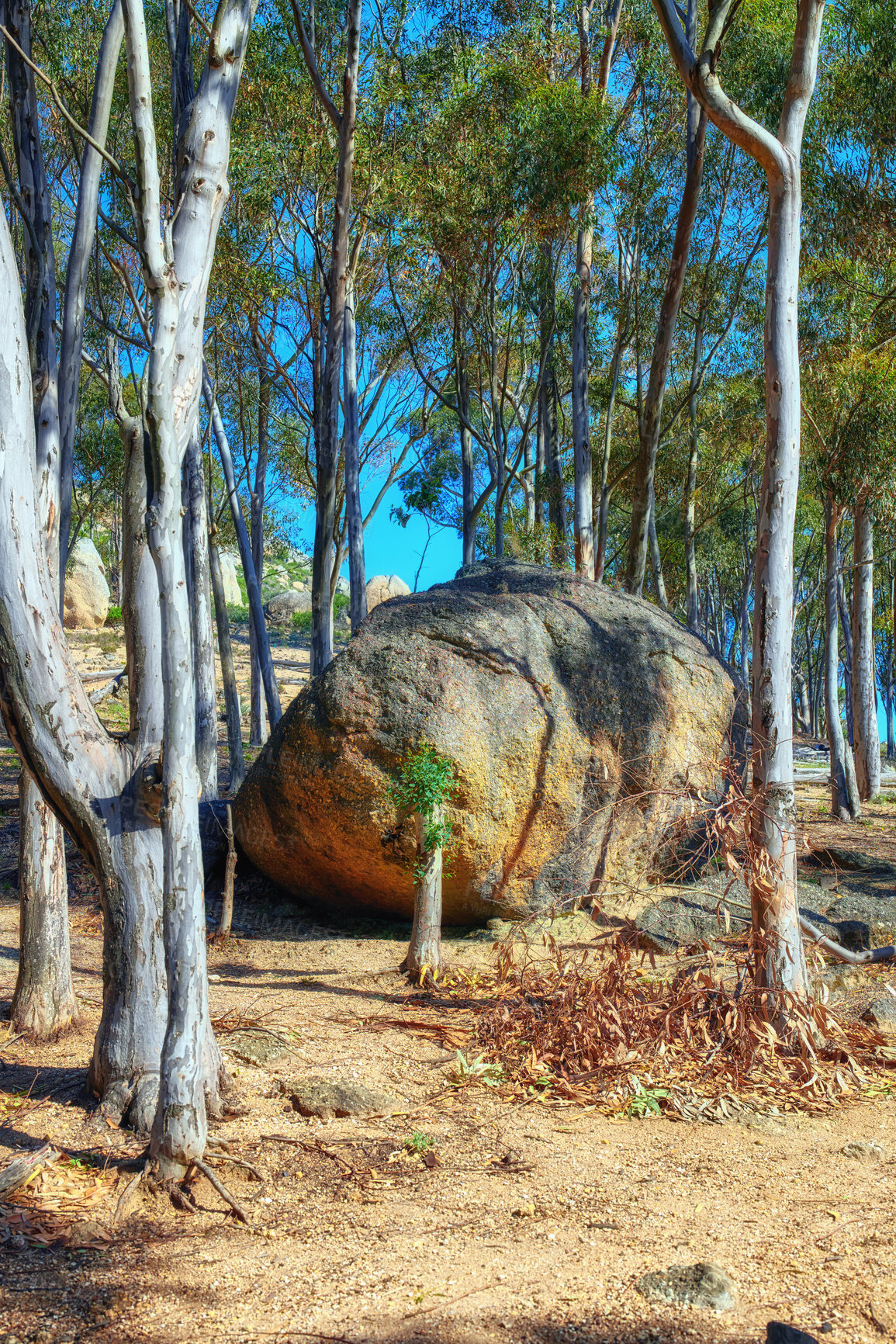 Buy stock photo A photo of Lions Head and surroundings