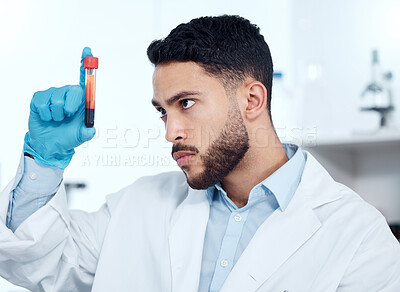 Buy stock photo One handsome young mixed race man wearing gloves and a labcoat and looking at a medical blood sample in a test tube in a lab. A male scientist looking seriously while examining a vial of blood