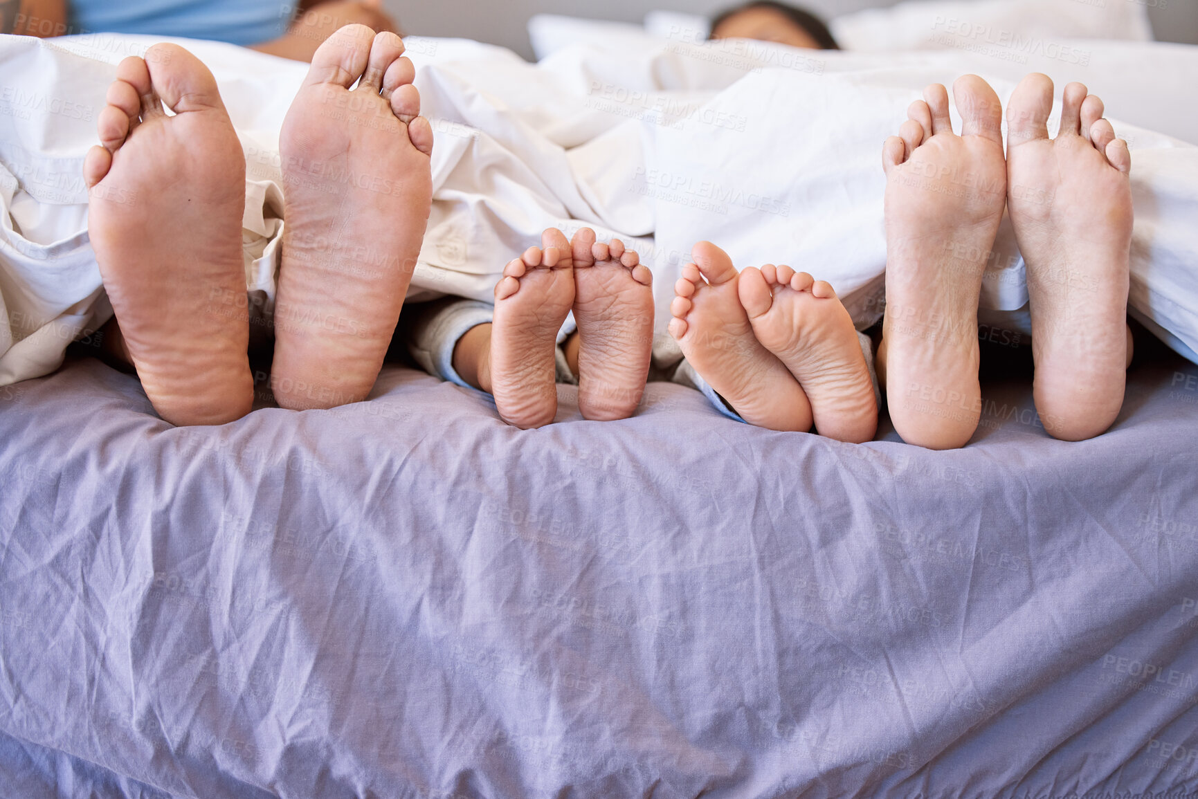 Buy stock photo Feet of family lying in bed. Closeup of feet of parents and children side by side in bed. Family relaxing in bed together. Below bare feet of family in bed. Kids resting in bed with their parents.