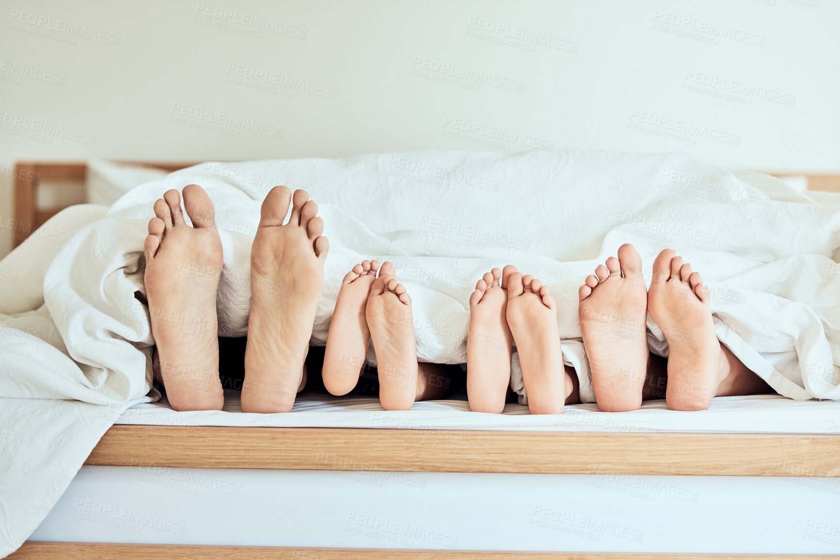 Buy stock photo Closeup of feet of family lying in bed. Bare feet of parents and children sticking out in bed. Family with two children relaxing in bed together. Kids sleeping in bed with their parents