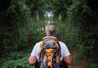 Rear view of a man wearing a backpack hiking through a forest in nature alone. Male walking on a trail in the outdoors