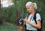 A mature caucasian woman taking pictures with her camera while out hiking. Senior female using her wireless digital camera to take photos in nature during a hike outdoors