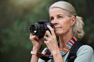 Buy stock photo Nature, hiking and mature woman taking pictures, fitness and memories with wellness, healthy lifestyle and wireless device. Senior female tourist, lady and photographer with camera, hike and walking