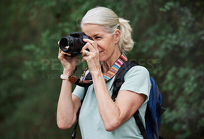 Buy stock photo Woman, hiking and photography with camera in nature, outdoor or green environment. Female hiker, tourist and travel photographer on trekking adventure, sightseeing journey or explore scenery in woods