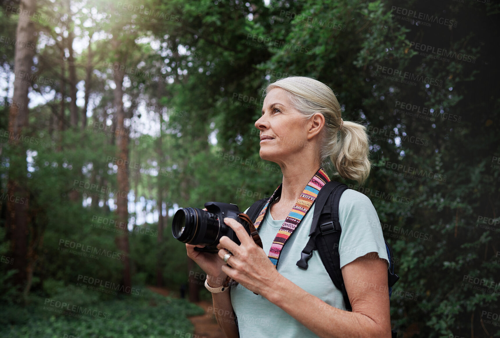 Buy stock photo Senior woman, hiking and photography with camera in forest, nature or environment. Female hiker, tourist and travel photographer on trekking adventure, sightseeing journey or explore scenery in woods