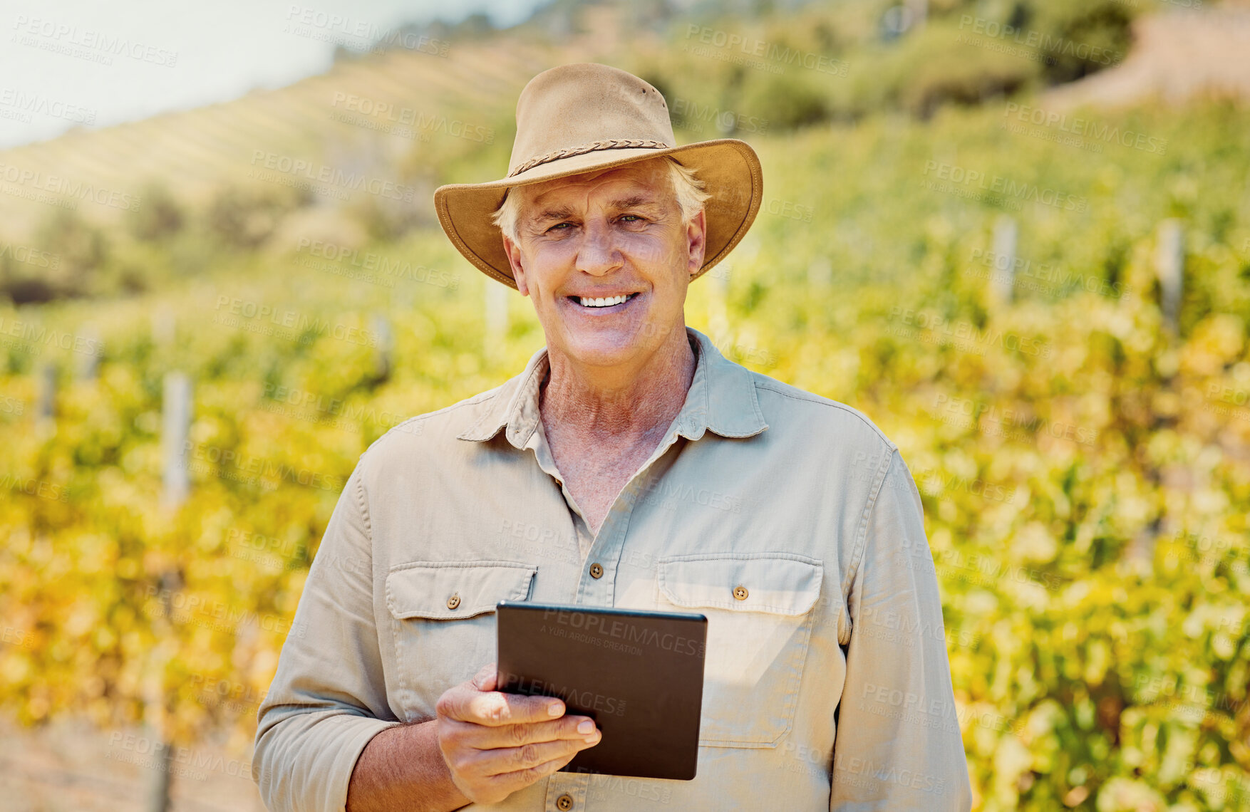 Buy stock photo Smiling senior caucasian confident farmer using a digital tablet on his vineyard. Elderly man standing alone and using technology on a wine farm in summer. Happy farmer with his crops and agriculture