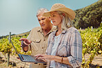 Two serious senior farmers standing and talking while using laptop on a vineyard. Elderly man and woman pointing at technology on a wine farm in summer before harvest. Elderly couple standing together