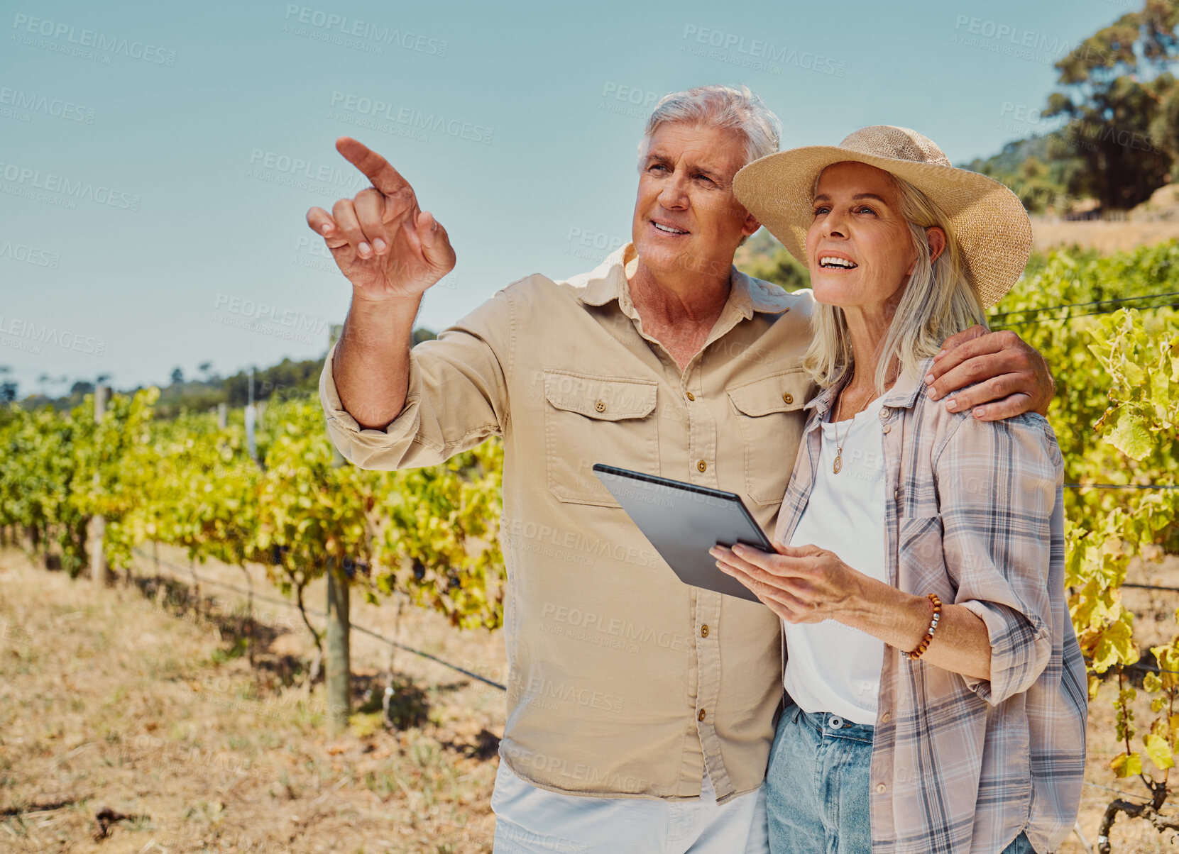 Buy stock photo Two senior farmers standing and pointing while talking and using digital tablet on vineyard. Elderly man showing woman while bonding together on wine farm in summer. Old couple hugging and embracing