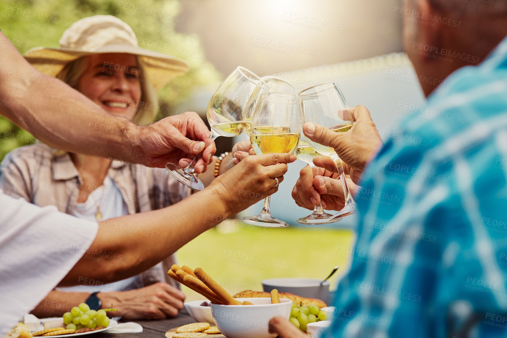Buy stock photo Diverse group of friends toasting with wineglasses on vineyard. Happy group of people sitting together and bonding during wine tasting on farm over a weekend. Friends enjoying white wine and alcohol