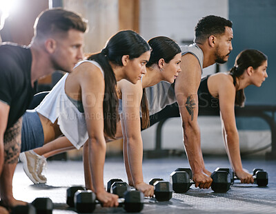 Diverse group of active young people doing plank hold and push up exercises with dumbbells while training together in a gym. Focused athletes doing press ups and renegade rows with weights to build muscle and endurance during a workout in a fitness class