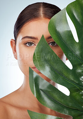 Buy stock photo .Portrait of unknown woman covering her face with a green monstera plant leaf. Headshot of caucasian model posing against a grey background in a studio with smooth skin and a fresh healthy skincare