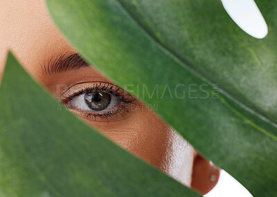 Buy stock photo Closeup portrait of unknown woman covering her face with a green monstera plant leaf. Headshot of caucasian model posing against a grey background in a studio with smooth skin, fresh healthy skincare