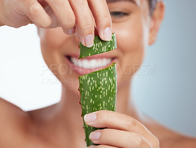 Buy stock photo Closeup of smiling beautiful woman holding aloe vera leaf for her skincare routine. Caucasian model isolated against grey studio background and posing. Using organic plants for hydration and moisture