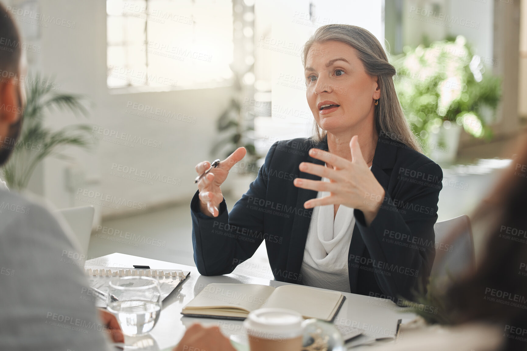 Buy stock photo Businesspeople talking in a meeting together at work. Business professionals talking and planning in an office. Mature caucasian  businesswoman explaining an idea to colleagues at a table