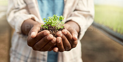 Buy stock photo Farmer holding soil with growing plant. Hands of a farmer holding dirt with blooming plants. Agriculture held in a farmer's hands. Farmer standing in a plant nursery holding dirt.
