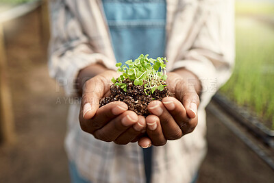 Farmer holding dirt with growing plant. Blooming plant in the hand of a farmer. Closeup of hand of farmer holding soil. Farmer holding harvested sprouting plant. Farmer standing in a greenhouse